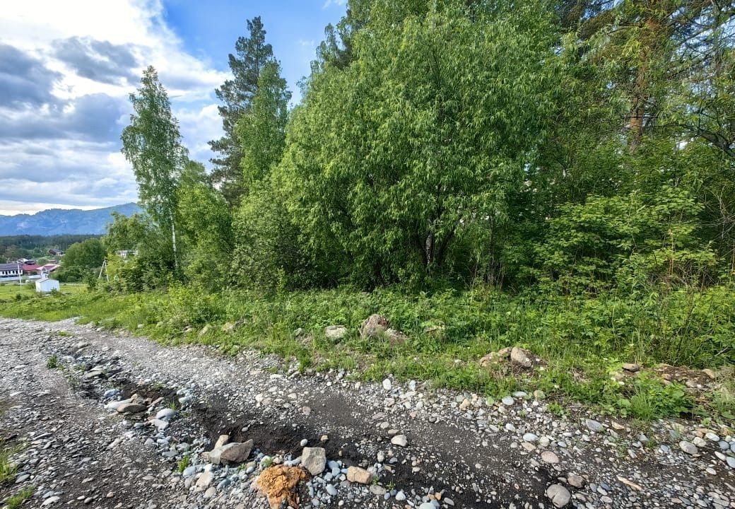 земля р-н Майминский с Озерное ул им.Максима Петунина Горно-Алтайск фото 11