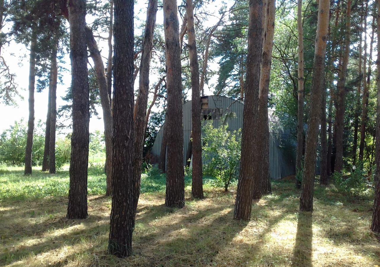 земля р-н Грязинский г Грязи сельсовет, Петровский, с. Петровка фото 21