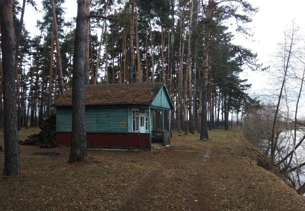 земля р-н Грязинский г Грязи сельсовет, Петровский, с. Петровка фото 24