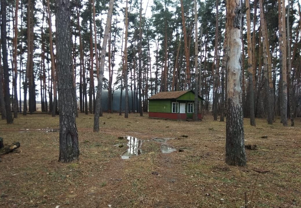 земля р-н Грязинский г Грязи сельсовет, Петровский, с. Петровка фото 27