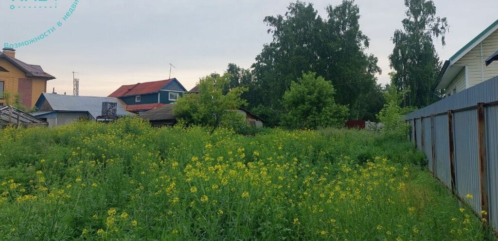 земля р-н Новосибирский с Боровое ул Светлая фото 1