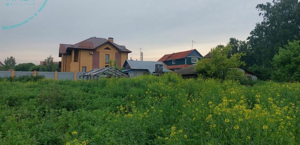 земля р-н Новосибирский с Боровое ул Светлая фото 2