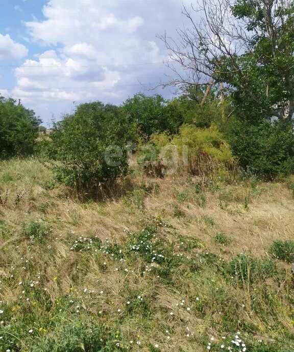 земля р-н Черноморский с Хмелёво ул Полтавская Новоивановское сельское поселение фото 17