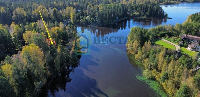 городской посёлок Рощино фото