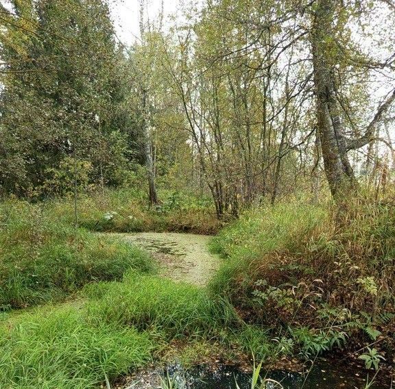 земля городской округ Солнечногорск д Замятино ул Боровая фото 9