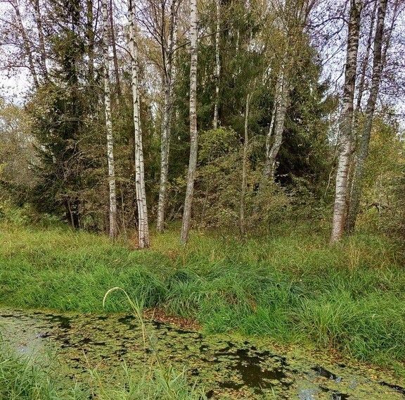 земля городской округ Солнечногорск д Замятино ул Боровая фото 10