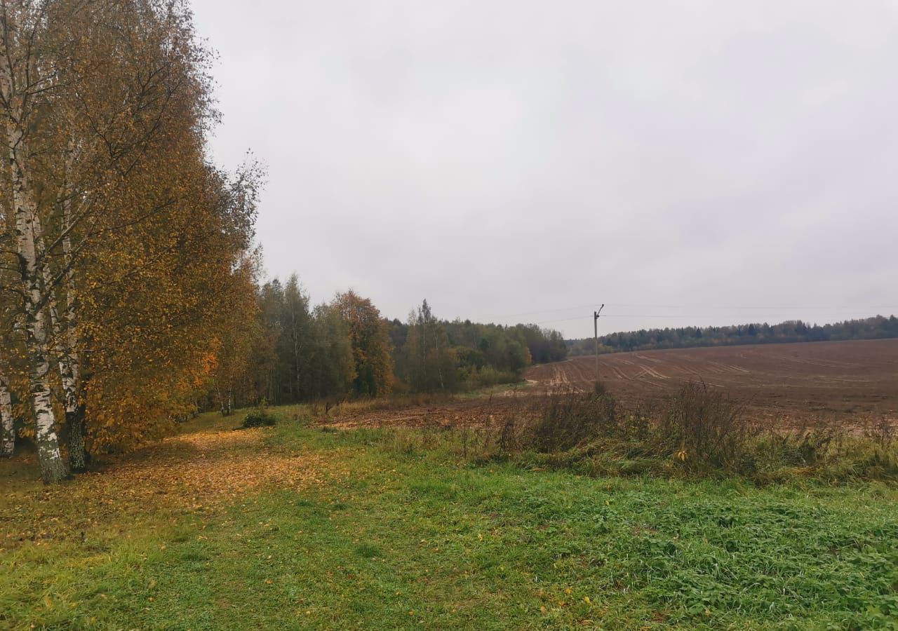 земля городской округ Дмитровский д Пруды 9787 км, 7, Рогачево, Рогачёвское шоссе фото 3