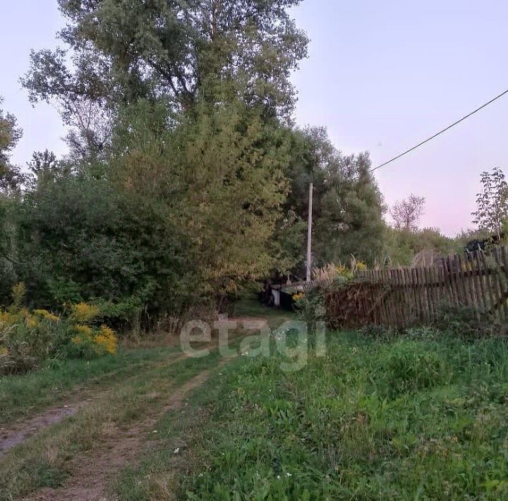 дом р-н Брасовский п Локоть пер Лесозаводской Локотское городское поселение фото 6