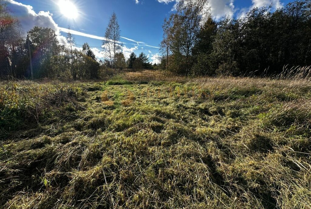 земля р-н Выборгский п Рябово Приморское городское поселение фото 1