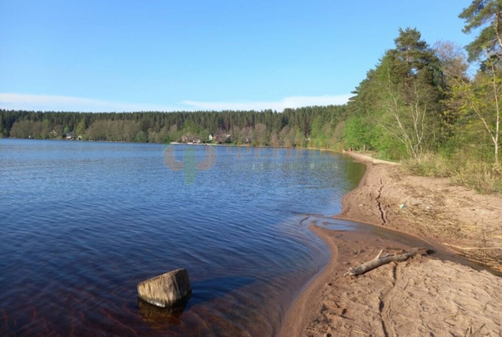 земля р-н Выборгский п Рябово Приморское городское поселение фото 2