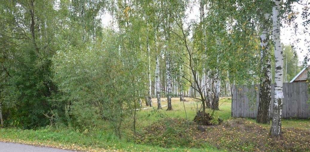 земля р-н Кораблинский п Ибердский ул Монастырская фото 11