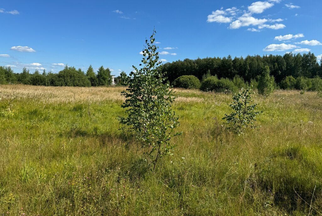 земля городской округ Можайский ТСН Лесное 2 фото 11