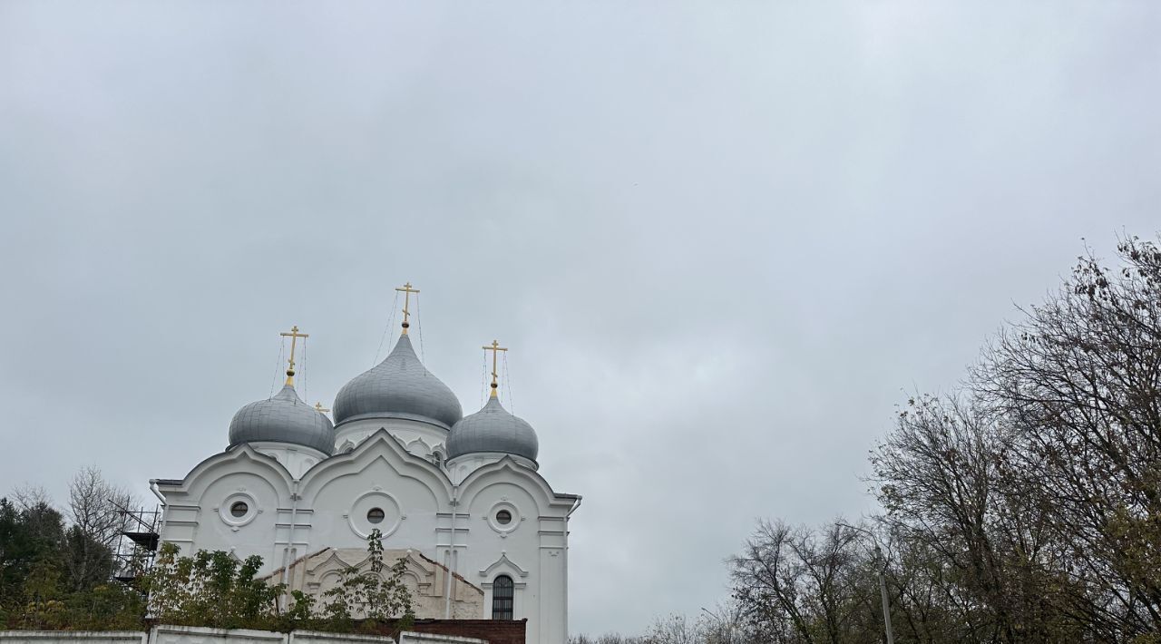 земля городской округ Коломенский п Запрудный лпх, Сергиево-Посадский городской округ фото 3