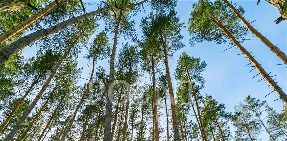 дом направление Ленинградское (северо-запад) ш Пятницкое Новогорск-7 кп, 6к 4, Химки фото 20