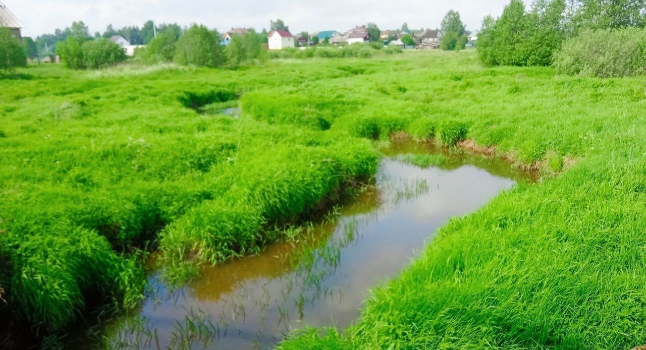 земля р-н Костромской п Губачёво с пос, Никольское фото 7