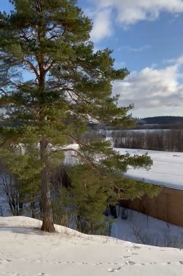 производственные, складские г Санкт-Петербург метро Академическая пр-кт Пискарёвский 143 фото 27