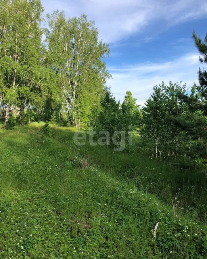 дом р-н Сосновский п Полетаево Полетаевское сельское поселение фото 27