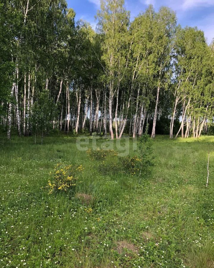 дом р-н Сосновский п Полетаево Полетаевское сельское поселение фото 31