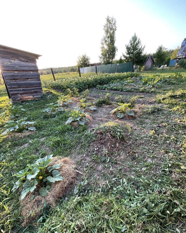 дом городской округ Орехово-Зуевский д Елизарово 63 км, 6, Давыдово, Егорьевское шоссе фото 14