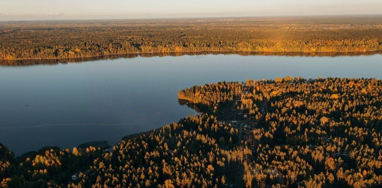 земля р-н Выборгский Приморское городское поселение, Сосновый пляж кп фото 15