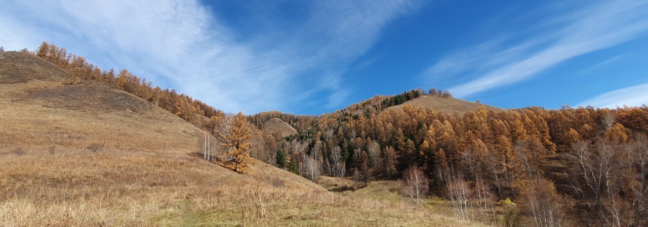 земля р-н Усть-Коксинский п Теректа ул Восточная фото 12