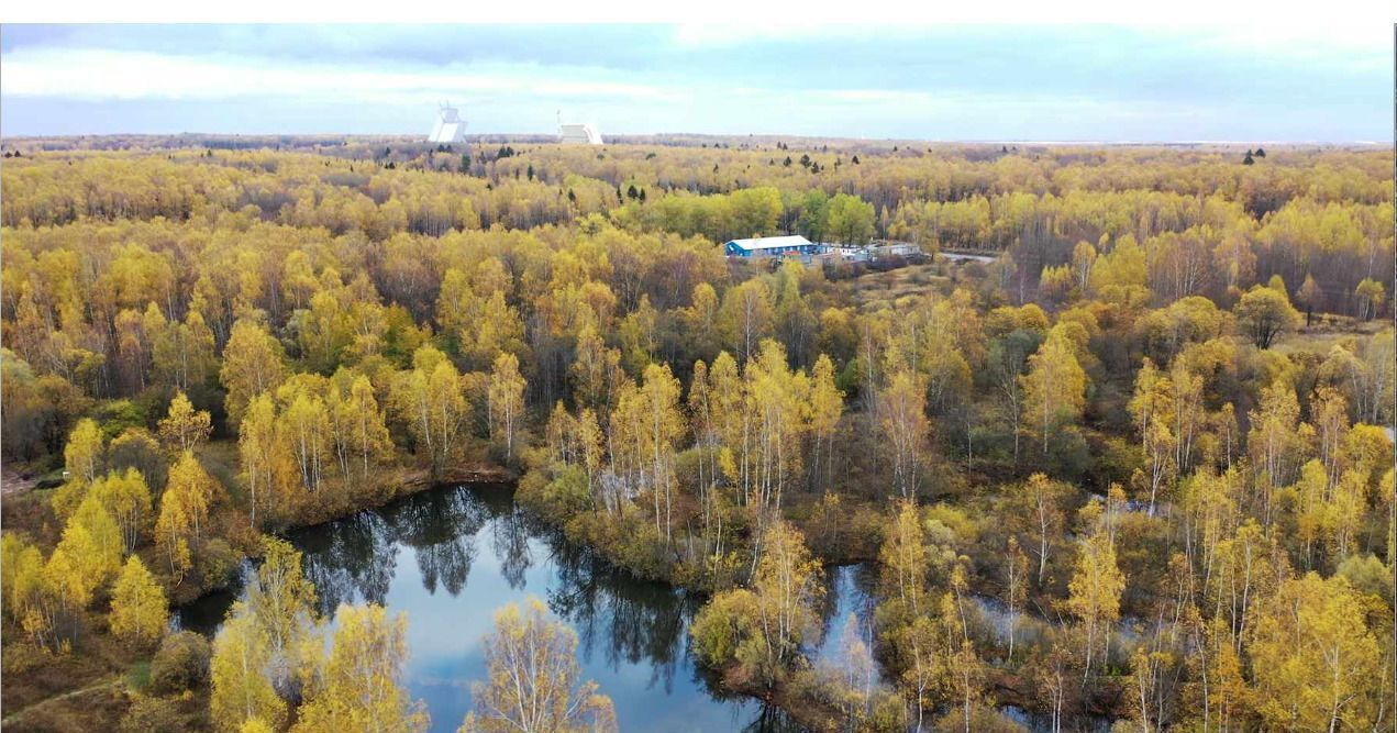 земля городской округ Чехов 9769 км, коттеджный пос. Васильково-4, Березовая ул, Симферопольское шоссе фото 2