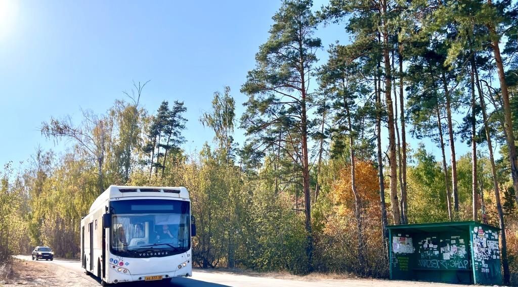 торговое помещение г Липецк р-н Левобережный 12-я линия, 70, Металлург-3 СНТ фото 8