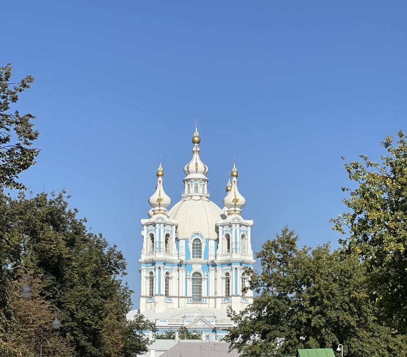 квартира г Санкт-Петербург метро Чернышевская Пески ул Кирочная 70 округ Смольнинское фото 12