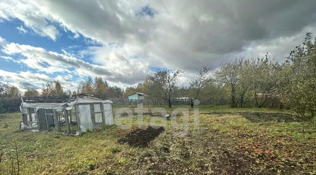 земля р-н Брянский п Путевка снт Ветеран-2 пос, СДТ, Снежское с, с. Толмачево фото 10