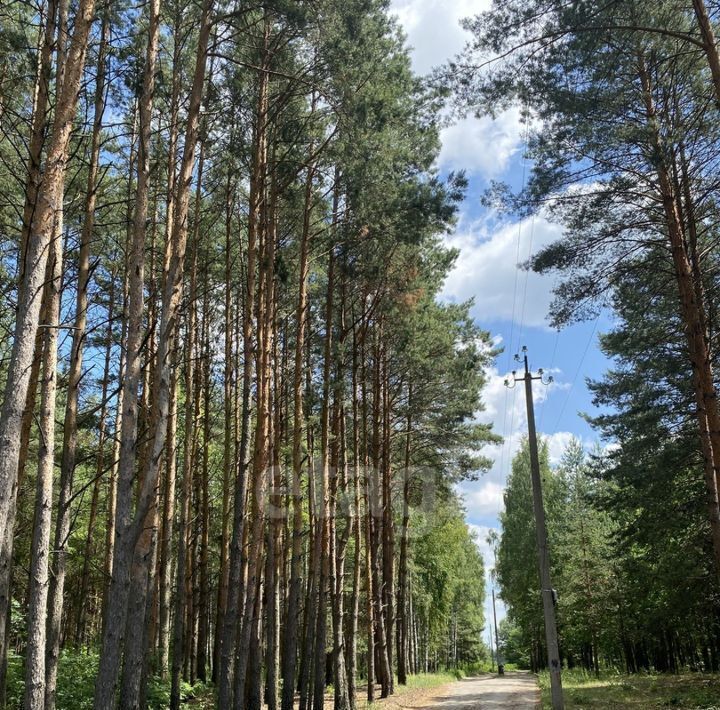 земля р-н Погарский пгт Погар ул Веркеевка фото 7