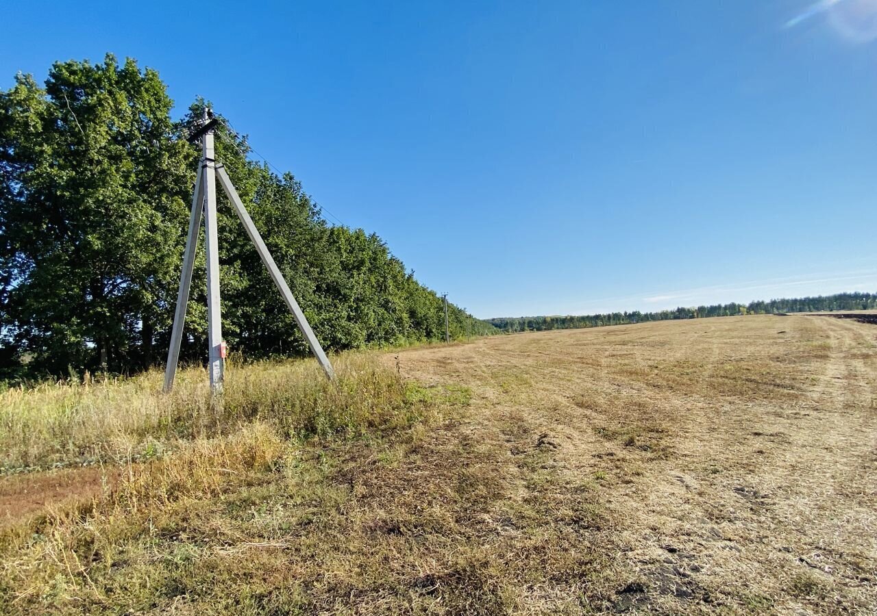 земля г Пенза р-н Октябрьский сад Октябрьский фото 7