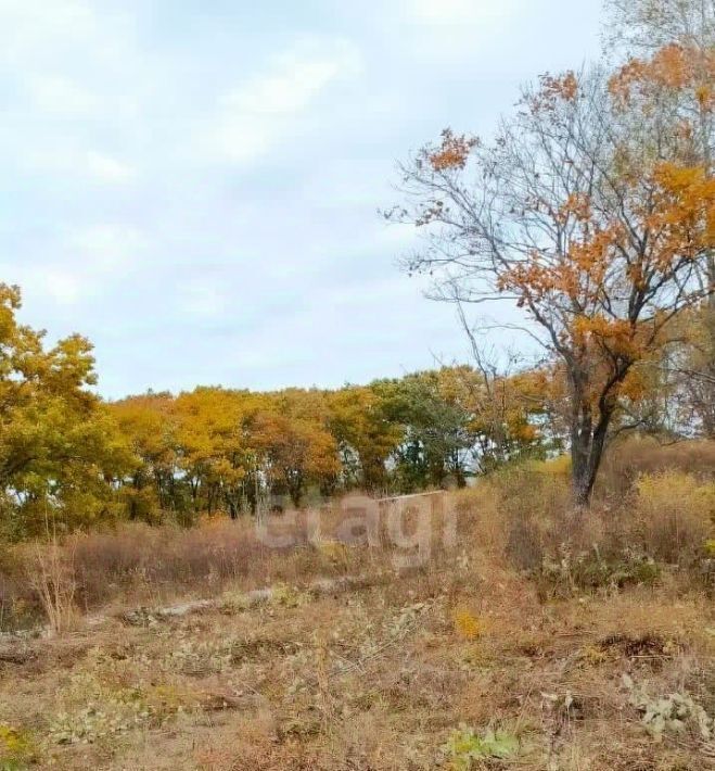 земля р-н Надеждинский п Тавричанка снт тер.Аргус ул 8-я Западная фото 3