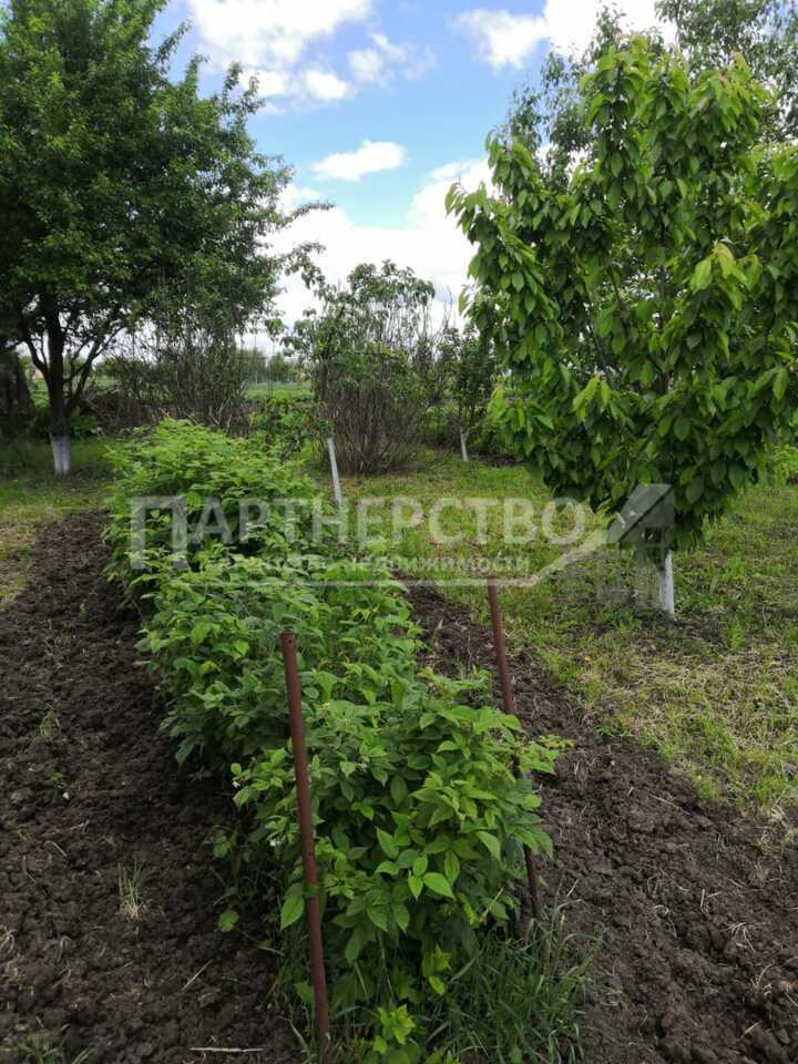 дом р-н Северский с Львовское ул Комсомольская Львовское сельское поселение фото 44