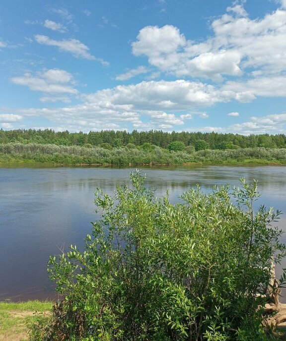 земля г Нижний Новгород р-н Нижегородский Горьковская пл Минина и Пожарского фото 8