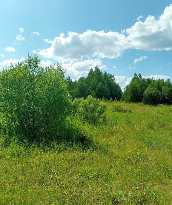 земля г Нижний Новгород р-н Нижегородский Горьковская ул Богдановича фото 7