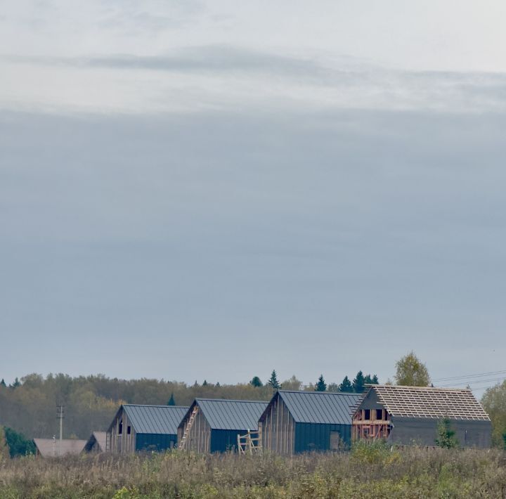 дом городской округ Солнечногорск д Белавино ул Кленовая фото 9