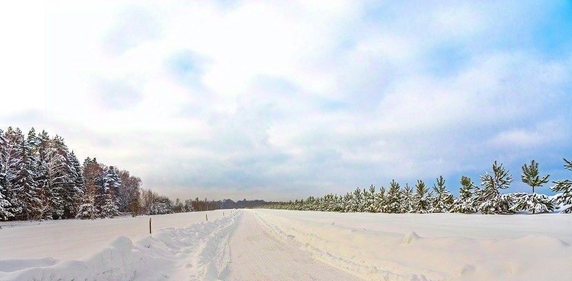 земля городской округ Ступино д Шелково фото 24