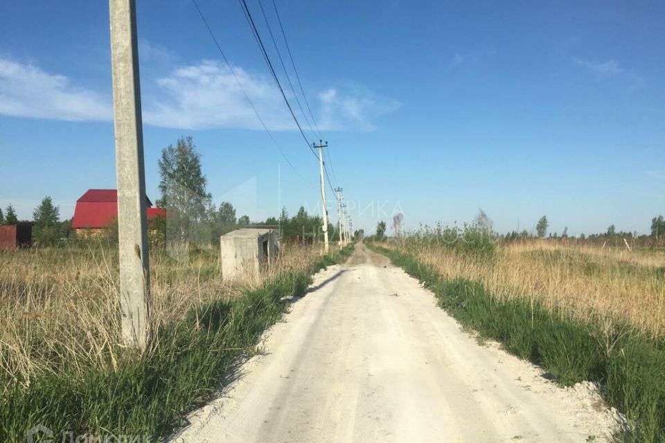 земля городской округ Тюмень, Сливовый переулок, садовое товарищество Поле Чудес фото 2