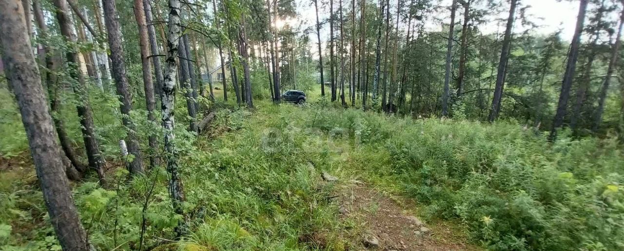 земля г Верхняя Пышма п Кедровое пер Александровский 2 Старотагильский тракт, 9745 км, Среднеуральск фото 2