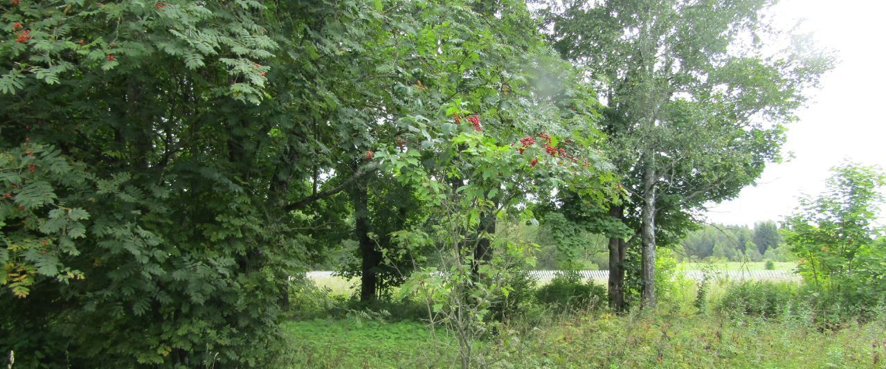 офис городской округ Рузский д Высоково фото 1