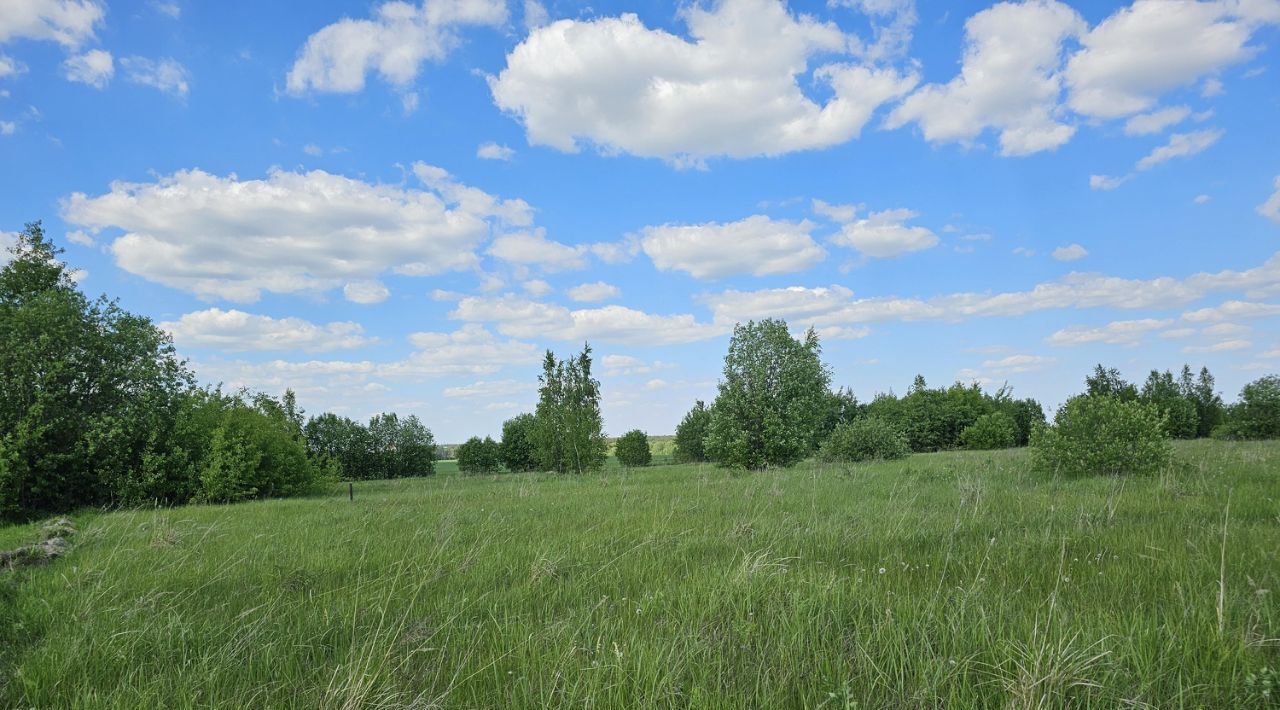 офис городской округ Луховицы с Подлесная Слобода фото 3