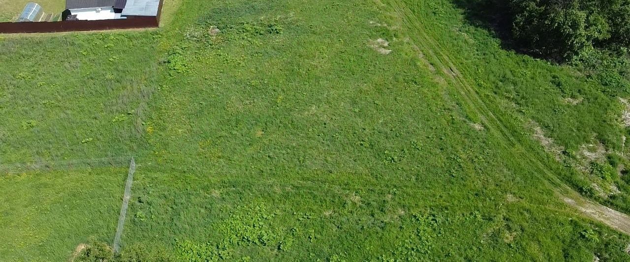 офис городской округ Волоколамский с Ярополец фото 4