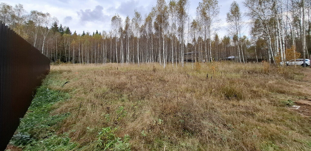 земля городской округ Ступино с Мышенское фото 14