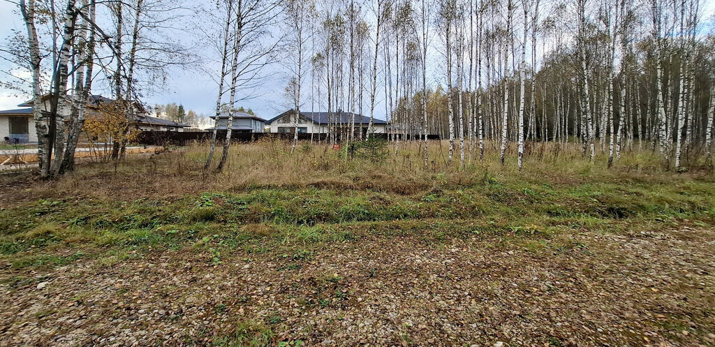 земля городской округ Ступино с Мышенское фото 12