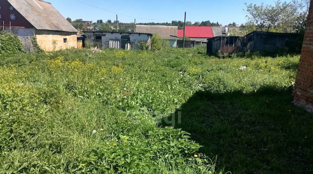 дом р-н Богородицкий с Черняевка Иевлевское муниципальное образование, 68 фото 21