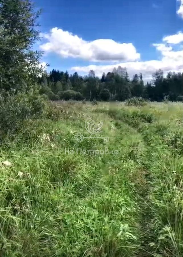 земля городской округ Волоколамский д Себенки ул Сельская 23 9801 км, Сычево, Новорижское шоссе фото 6