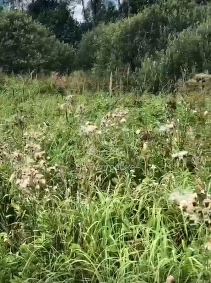 земля городской округ Волоколамский д Себенки ул Сельская 23 9801 км, Сычево, Новорижское шоссе фото 11