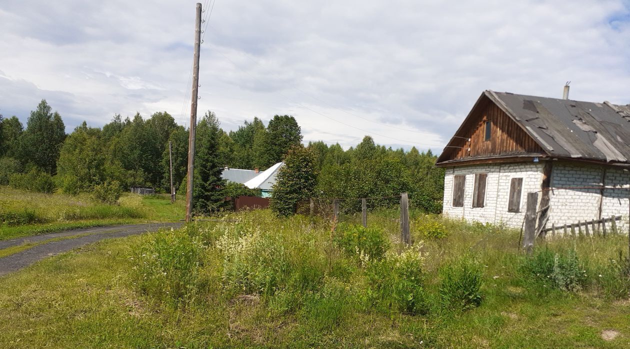 дом р-н Чкаловский д Филино Чкаловск городской округ фото 13