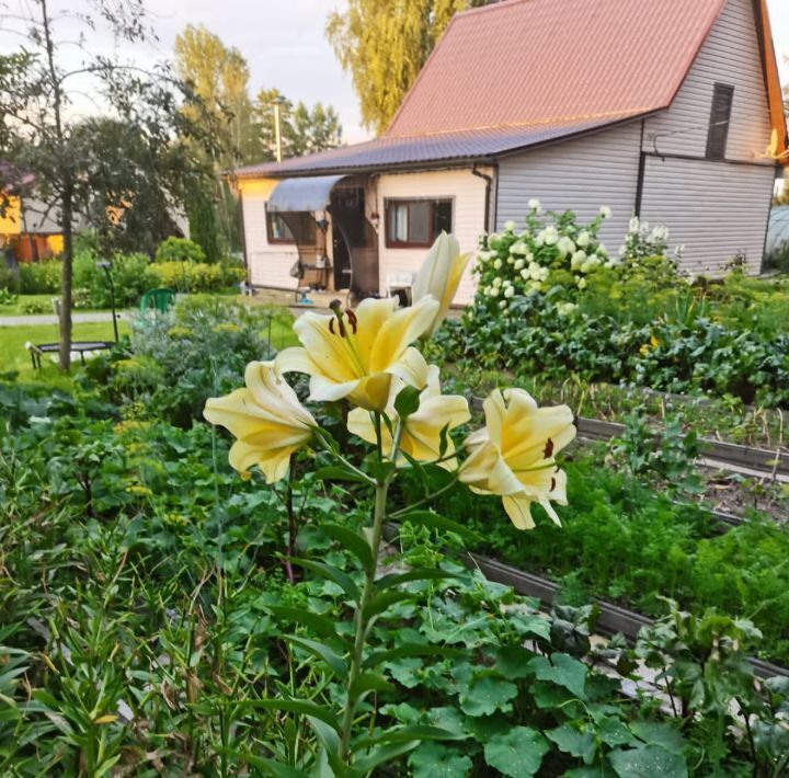 дом р-н Новодугинский д Липецы ул Молодежная фото 13