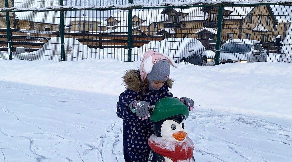 дом р-н Всеволожский д Вартемяги ул Планерная 33 Агалатовское с/пос, Озерки фото 21